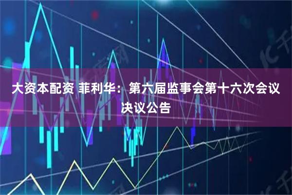 大资本配资 菲利华：第六届监事会第十六次会议决议公告