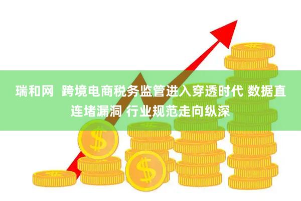 瑞和网  跨境电商税务监管进入穿透时代 数据直连堵漏洞 行业规范走向纵深