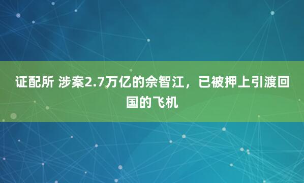 证配所 涉案2.7万亿的佘智江，已被押上引渡回国的飞机