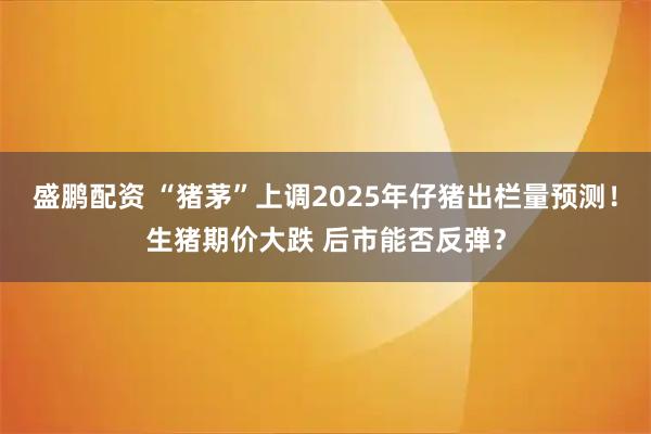 盛鹏配资 “猪茅”上调2025年仔猪出栏量预测！生猪期价大跌 后市能否反弹？