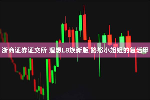 浙商证券证交所 理想L8焕新版 路怒小姐姐的复活甲
