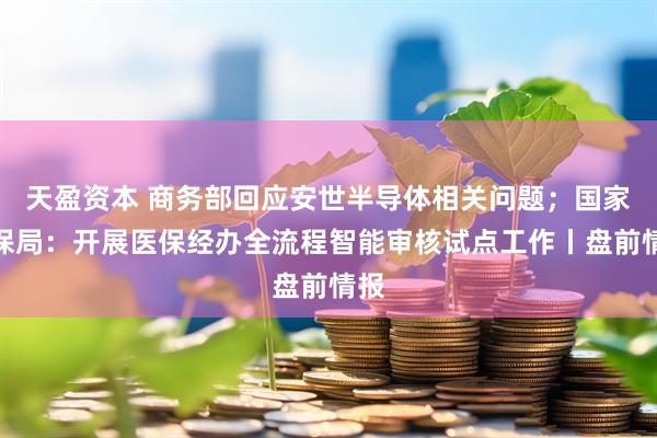 天盈资本 商务部回应安世半导体相关问题；国家医保局：开展医保经办全流程智能审核试点工作丨盘前情报
