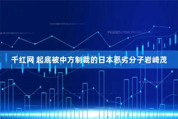 千红网 起底被中方制裁的日本恶劣分子岩崎茂