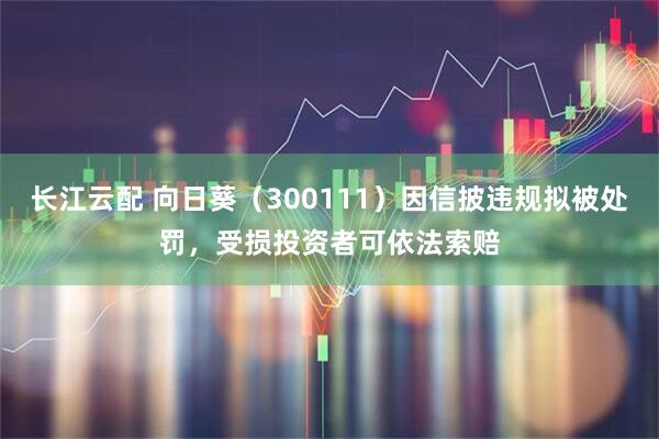 长江云配 向日葵（300111）因信披违规拟被处罚，受损投资者可依法索赔