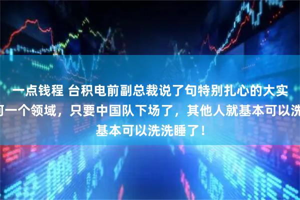 一点钱程 台积电前副总裁说了句特别扎心的大实话：任何一个领域，只要中国队下场了，其他人就基本可以洗洗睡了！