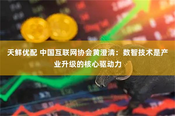 天鲜优配 中国互联网协会黄澄清：数智技术是产业升级的核心驱动力